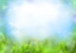 Photo: Colorful spring or summer background Colorful spring or summer background
