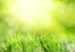 Photo: Colorful spring or summer background Colorful spring or summer background