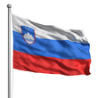 Illustration: Flag of Slovenia Flag of Slovenia