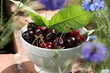 cerises