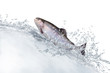 Fische 130