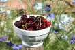 cerises