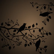 Floral Background, birds Floral Background, birds