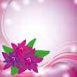 Summer background with red flowers