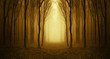 path through a golden forest at sunrise