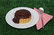 Vanillepudding mit Schokoladensoße auf Gras