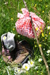 Photo: picknick picknick