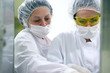 Pharmaceutiacal Workers