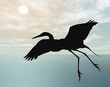 Cigüeña Volando al atardecer