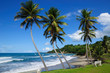 martinique, sainte marie 2