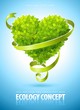 ecology concept with heart