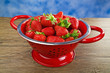 Fragole