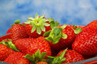 Fragole