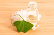 fresh leaves ginko biloba essential oil and sea salt