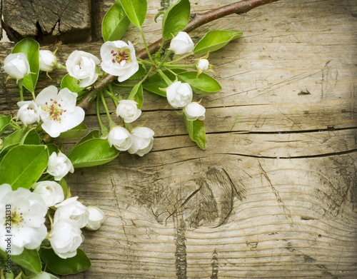 Photo: Spring Blossom over wooden background Spring Blossom over wooden background