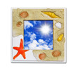 Frame of sea shell on blue sky