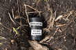 Geocache im Versteck (Erdloch)
