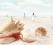 Beach scene with people walking and seashells Beach scene with people walking and seashells