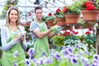 Florists.
