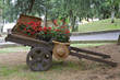 carretto