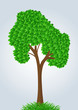 vector summer tree