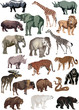 color animals large collection color animals large collection