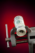 low budget concept - money in the vice tool