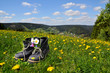 Landschaft Blumenwiese Wandern Schuhe