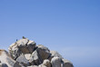 Valle della Luna