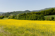 Umbria, panorama primaverile
