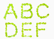 ABC[leafsD]_01