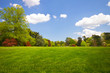 Landscape Landscape