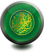 internet icon grün rund