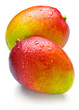 apple mango