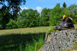 Wanderschuhe wald Baum