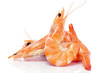 shrimps shrimps