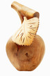 Wooden apple isolated Wooden apple isolated