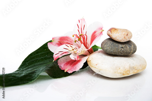 Photo: three rocks, leaf and flower three rocks, leaf and flower