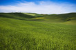 Photo: Tuscany landscape Tuscany landscape