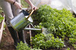 Gardening