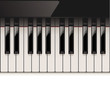 Vector detailed piano keyboard
