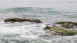 Sea waves