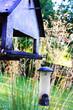Photo: Bird house Bird house