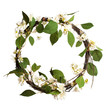 leaves wreath isolated