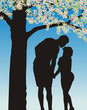 Tradition kiss under cherry bloom Tradition kiss under cherry bloom