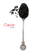 Black caviar in spoon Black caviar in spoon