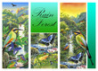 Illustration: Rainforest Rainforest