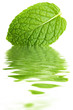 Mint