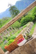 Agriculture bio