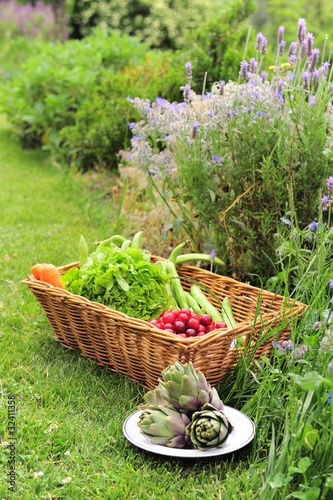 Foto: Jardinage biologique Jardinage biologique